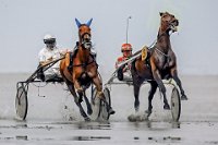 307 - RACING HORSES - DISCART CHRIS - belgium <div